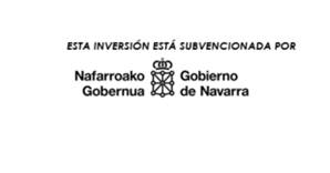 ayudas gobierno de navarra